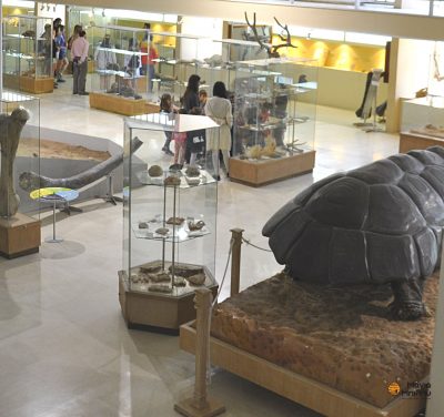 Επίσκεψη Μάγια Μπίλλυ στο μουσείο παλαιοντολογίας και γεωλογίας
